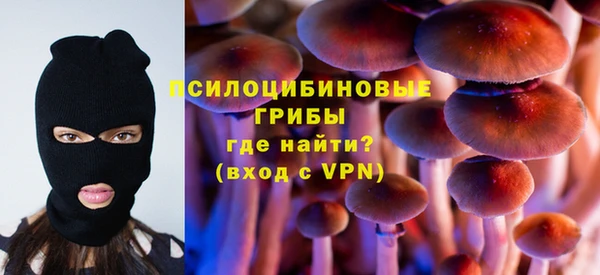 2c-b Няндома